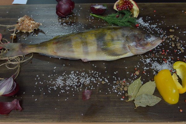 Терпуг курильский свежемороженый