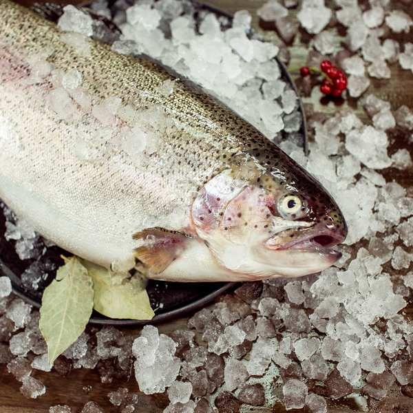 Форель охлаждённая н/р (1-2)