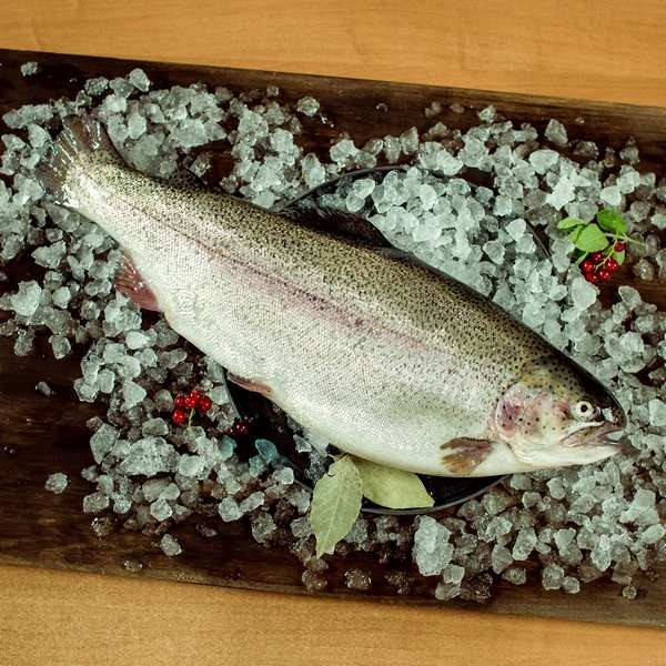 Форель охлаждённая н/р (1-2)