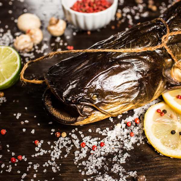 Сом горячего копчения