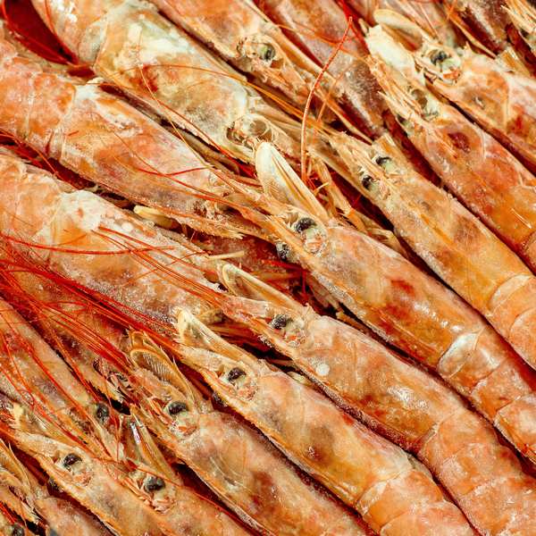 Лангустины L2 (21-30)